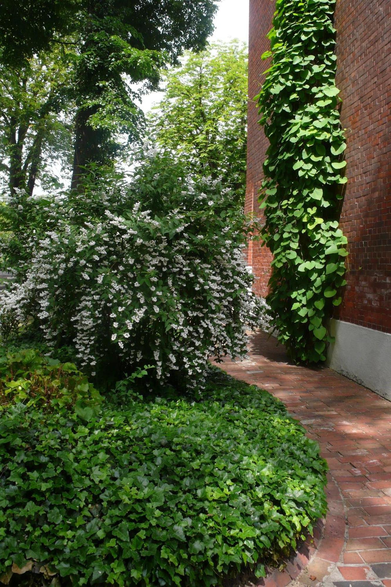 Pension Villa Fortuna Lübben Екстериор снимка